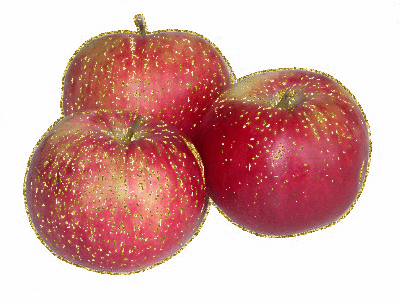 Owoce - 5.gif