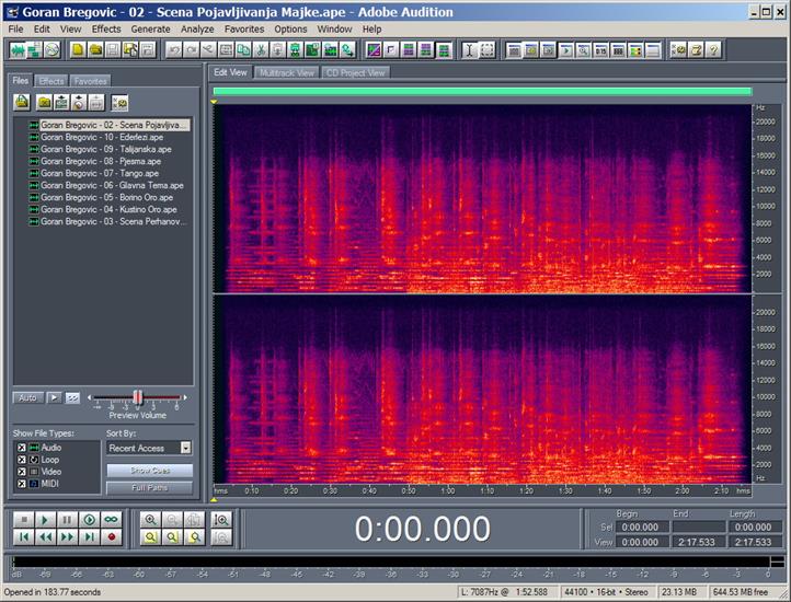 Adobe Audition Spectrum - Track 02.jpg