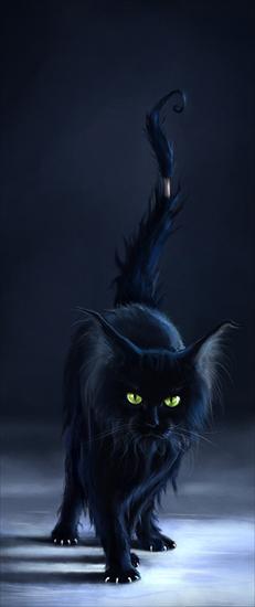Czarne Koty - drunken_black_cat_on_ice_by_cypherx.jpg