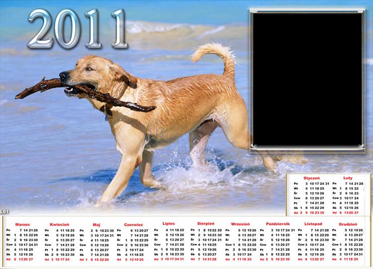 1.Kalendarze 2011r - Kal 2011 pies.png