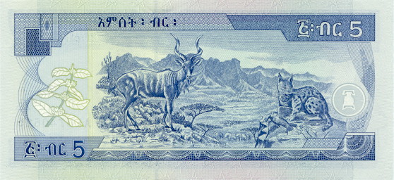 Banknoty Etiopia - EthiopiaPNew-5Birr-2003-donatedfvt_b.jpg