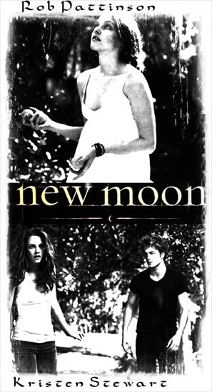 Postery - Unofficial-New-Moon-Poster-twilight-series-4660035-419-774.jpg