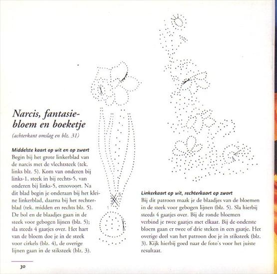 Bloemen borduren op Karten - blz 30.jpg