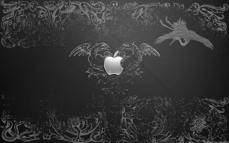 Apple - 16.jpg
