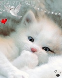 Tapety 128x160 - Sweet_Cat.jpg