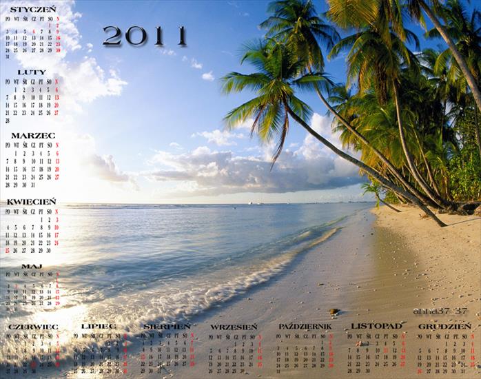 Kalendarze 2011 - anna 37_37142.png