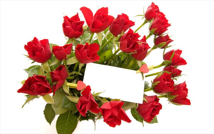 Roses Full HD Wallpapers 2560 X 1600 - Rose_010013.jpg
