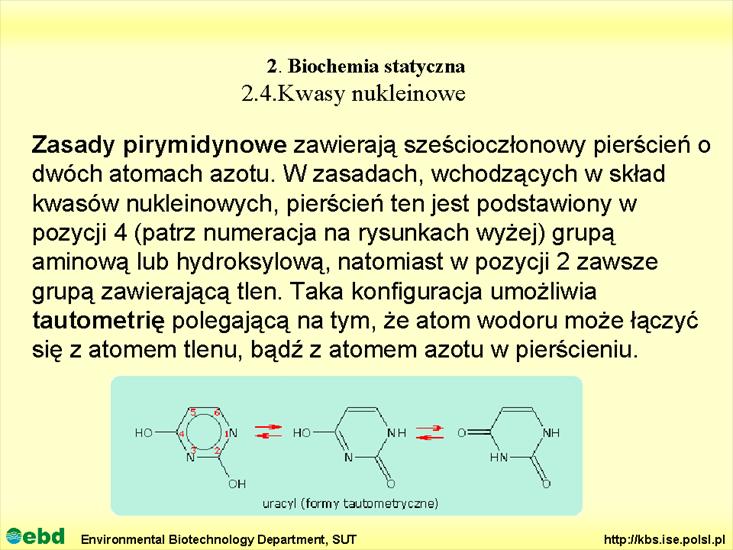 BIOCHEMIA 2 - biochemia statyczna - Slajd49.TIF