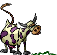 Bajki - krowa1.gif