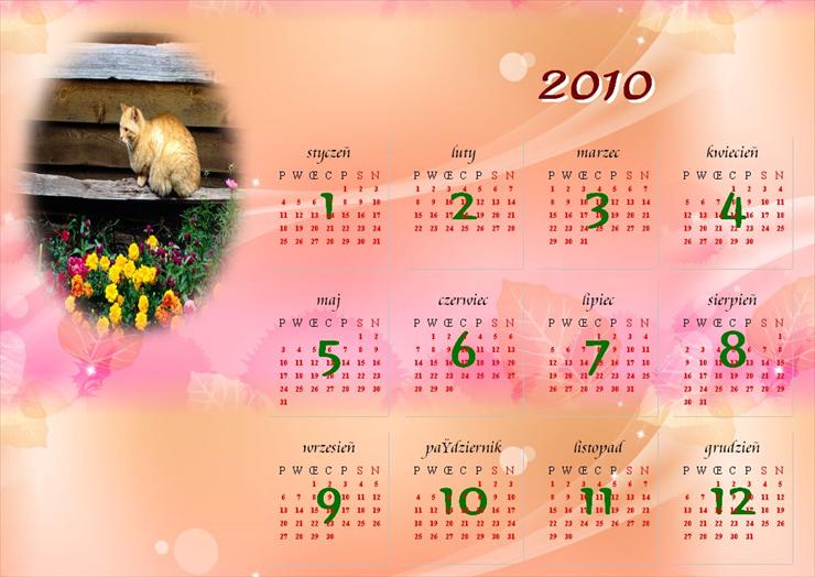 Kalendarze 2010 - 411.JPG