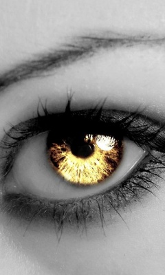The Cullens - Eye_Of_A_Cullen.jpg