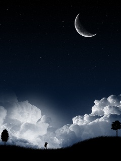 Nature - Alone_In_The_Night.jpg