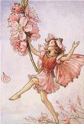 Fairies-Czarownice - an almond blossom fairy.jpg
