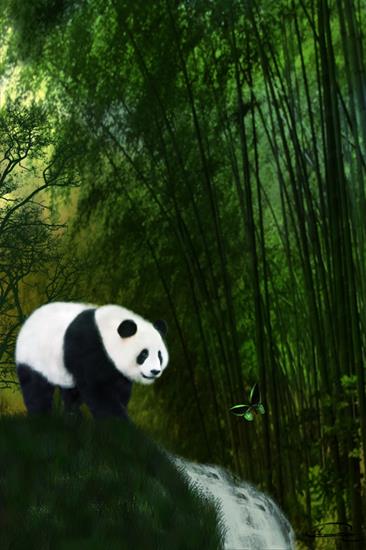 Emma Alvarez - Emma Alvarez-Panda In The Bamboo Forest by Emma Alvarez.jpg