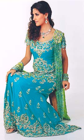 sanjana001 - classic-sari-1.jpg