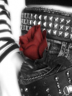 Róże - Red_Rose.jpg