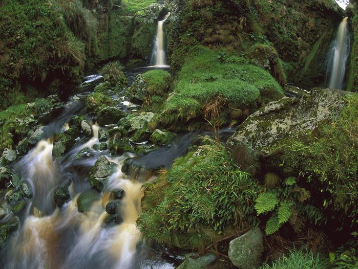 Bonus - Cascading Waterfalls Among Ferns and Mosses, Gough Island.jpg