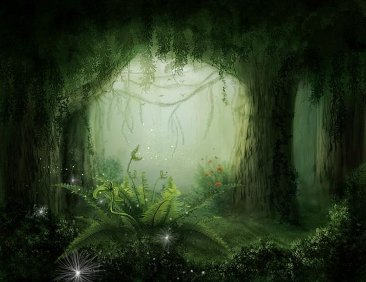 Kraina fantazji - Deep into the forest.jpg