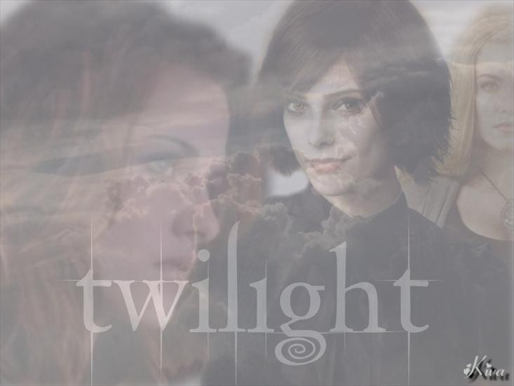 grupowesfora volturi, cullenowie - Twilight-Saga-twilight-series-8012185-1024-768.jpg