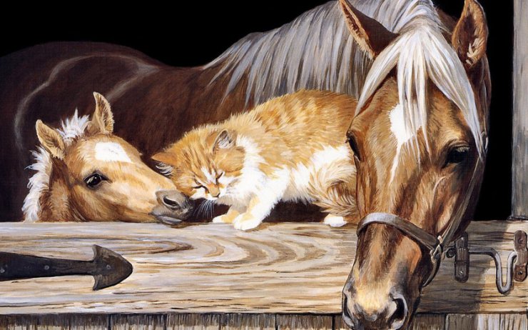 zwierzęta - cat-being-friendly-with-horses1.jpg