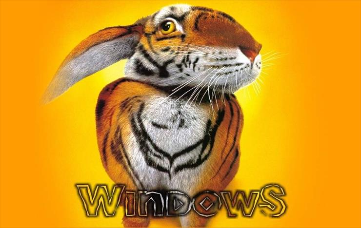  Windows - 241 - 0984.jpg