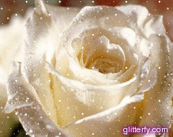 kwiaty - white_rose.gif