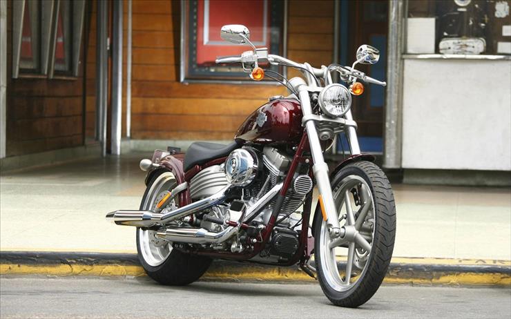 Motory - Harley 80.jpg