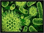 Tapetyna telefon - mikroskopowy-bakterie-zielen-obraz.jpeg