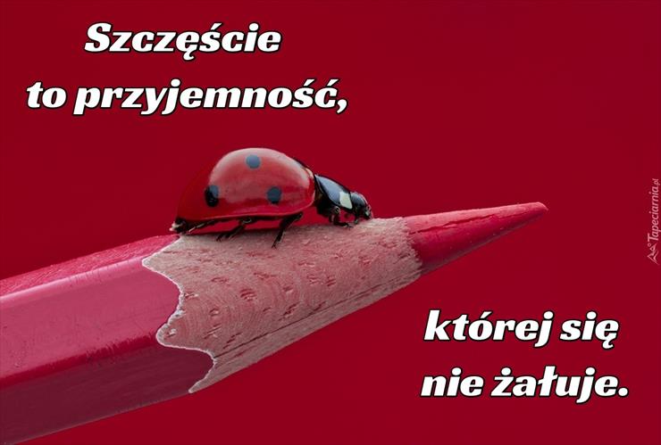 Szczęście - memy.tapeciarnia.pl-szczescie-to-przyjemnosc-ktorej-sie-nie-zaluje.jpg