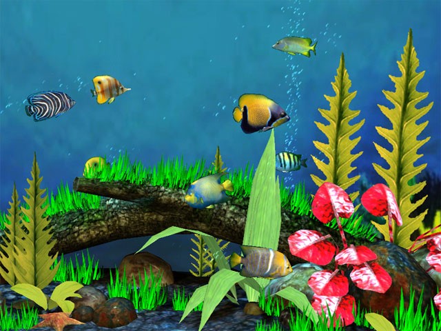 AKWARIUM Z RYBKAMI - fish-aquarium-3d-screensaver.jpg