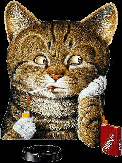Zwierzęta - Kot z papierosem.gif