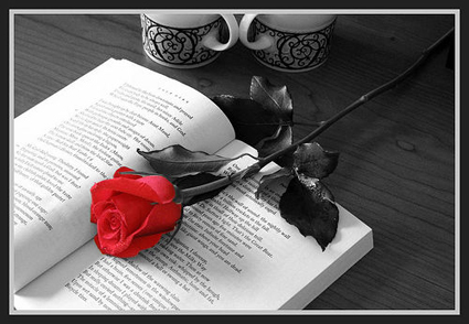 róze i książki - 1571.jpg