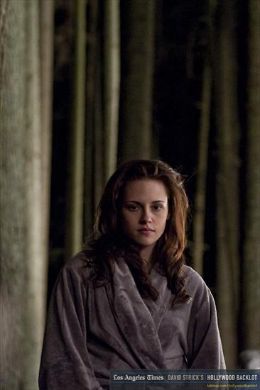Zdjecia - The-same-BTS-pictures-but-HQ-and-Bigger-Size-twilight-series-8253104-683-1024.jpg