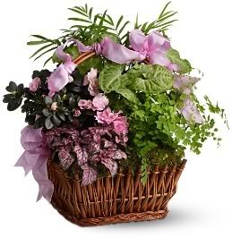 Bukiety kwiatów w wazonach,koszach - 207647.jpg