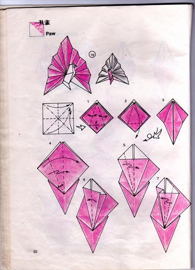 origami - paw cz1.jpg