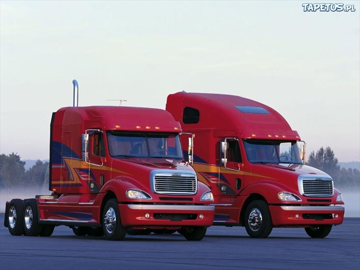 Samochody ciężarowe-B - 15720_czerwone-ciagniki-freightliner.jpg
