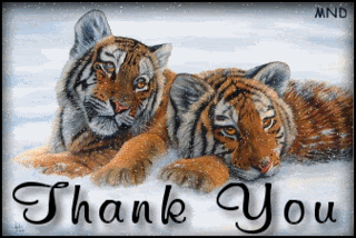 zwierzaczki - Tiger_Thank_You.gif