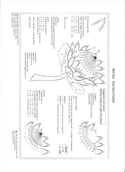 Kwiaty haft matematyczny - protea 22.JPG