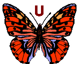 Motyle - butterfly-u-letter.gif