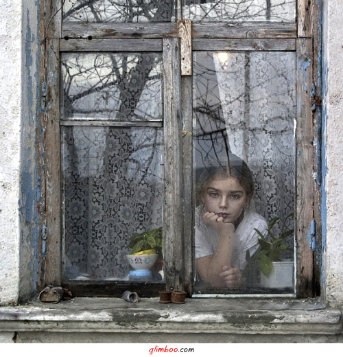 okno na świat - 0088.gif