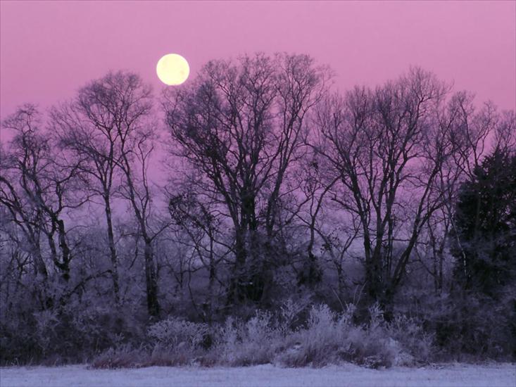 zima - Full Moon over Edwin Warner Park,.jpg
