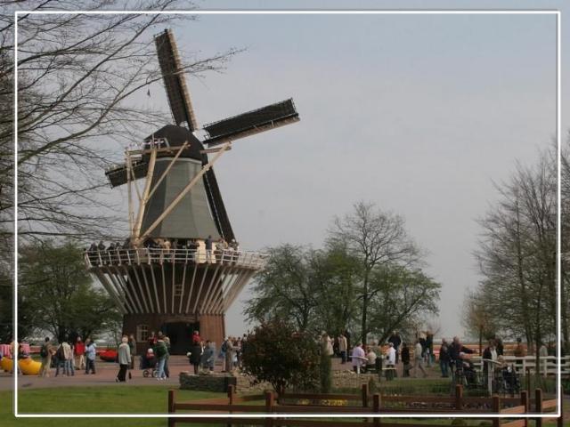 Ogrody w  Holandii - img28.jpg