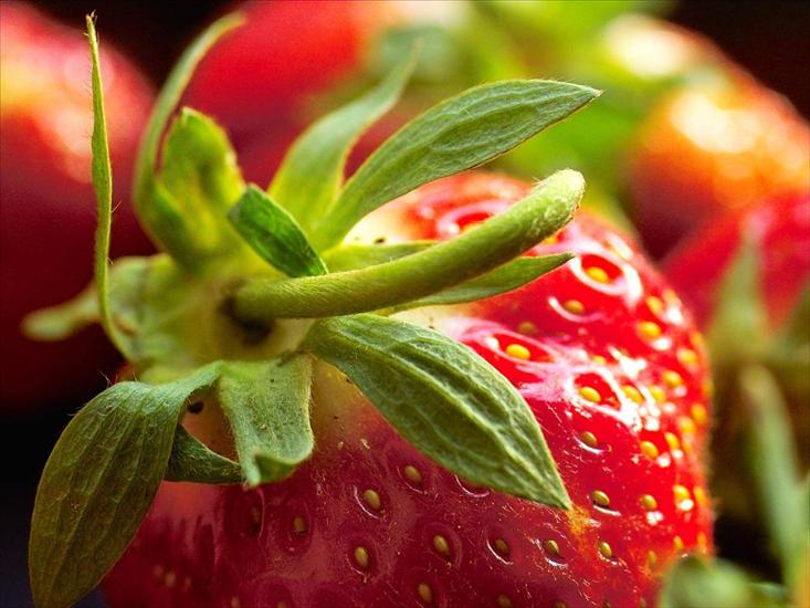 Owoce i warzywa - Strawberry.jpg