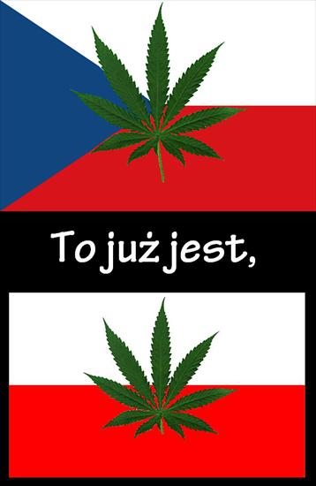 Ganja - CZ,PL-MJ.PNG