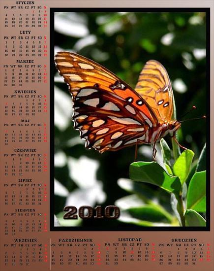 Kalendarze z motylkami - Bez nazwy 25.jpg