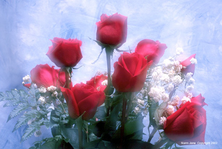 Róże symbol miłości - 4be13b81819b15614847cf3a763f3809_web.jpg