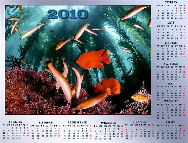 Kalendarze 2010 - anna37_37  MOJEGO WYKONANIA 4929.jpg