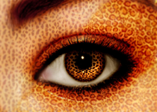 Animal eyes - animal 3.jpg