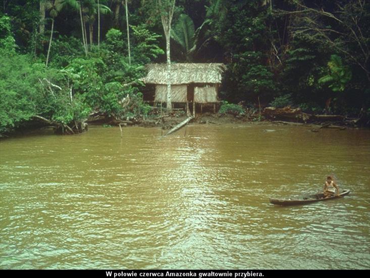 Rzeki - Źródła Amazonki.bmp