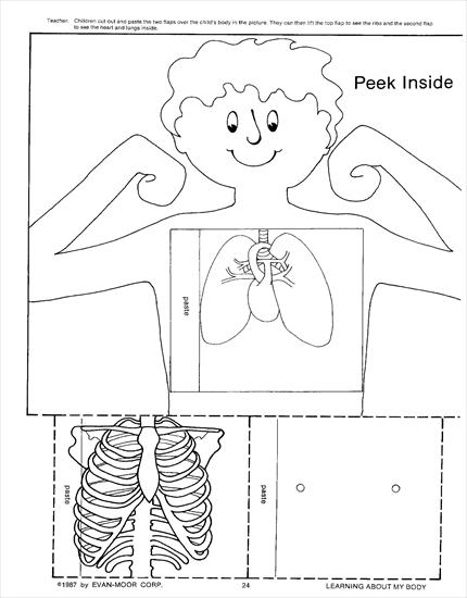 Learning About My Body EMC809 - EMC 809 Pg24.jpg